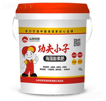 ���������-�ư�����