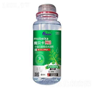 ����-ħؐ��-չ��