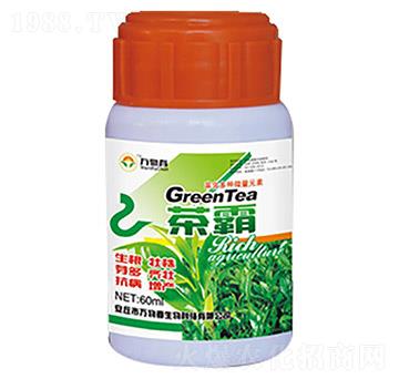 ���-�f(w��n)�ﴺ