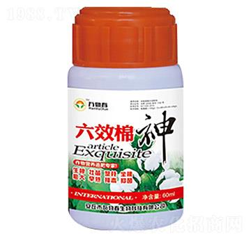 60ml��Ч����-�f(w��n)�ﴺ