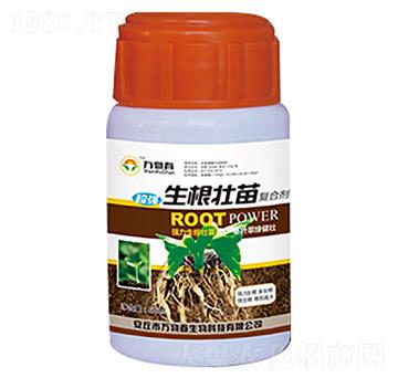 ���������(f��)�τ�-�f�ﴺ