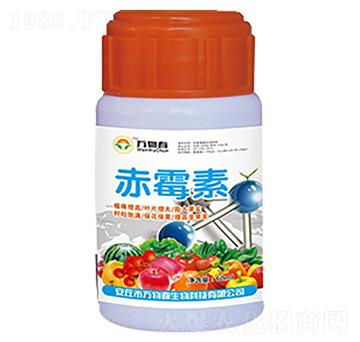 ��ù��-�f(w��n)�ﴺ