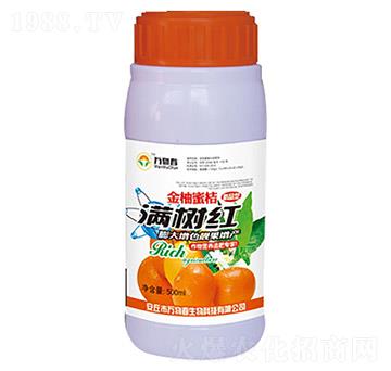 500ml�����۽۝M��t-�f(w��n)�ﴺ