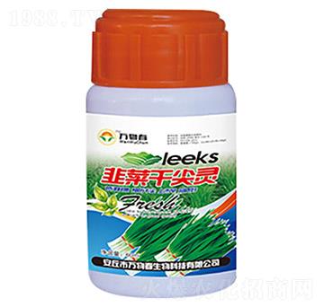 �²˸ɼ��`-�f(w��n)�ﴺ