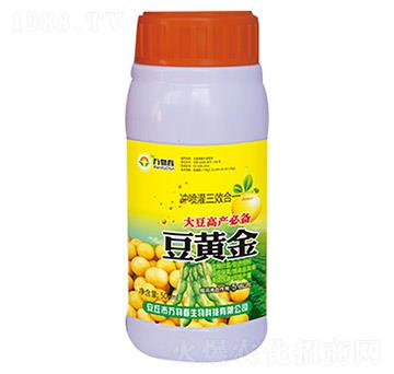 500ml���S��-�f�ﴺ