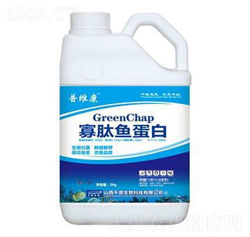 �����~(y��)����-�վS��-ǧ������