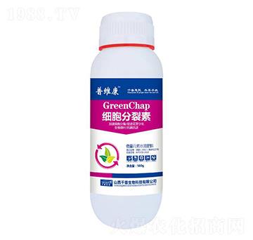 ��(x��)��������-�վS��-ǧ������