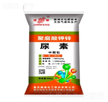 �۸�����\-����