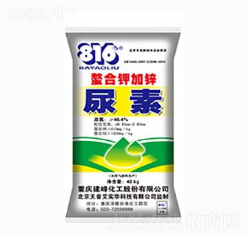 ����⛼��\-����