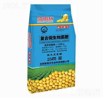 �ͺ�΢�������-�ǻ���