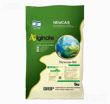 �������(f��)�Ϸ���-�~����1̖(h��o)-���r(n��ng)�W��