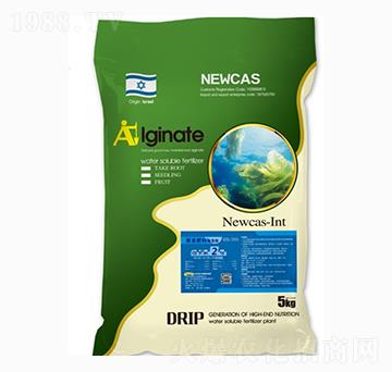 �������(f��)�Ϸ���-�~����2̖(h��o)-���r(n��ng)�W��