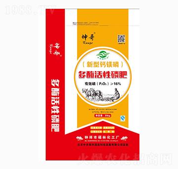 ��ø�����׷�-����-����