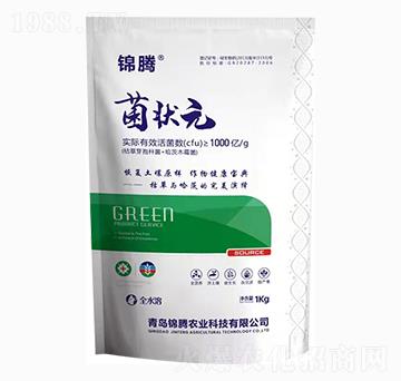 ����Ԫ-�\�v�r(n��ng)�I(y��)