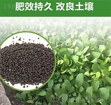 �G�����÷�-�����S