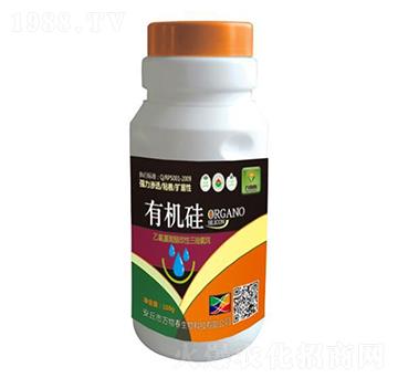 �ЙC��-�f�ﴺ