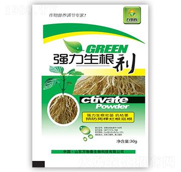 ����������-�f�ﴺ