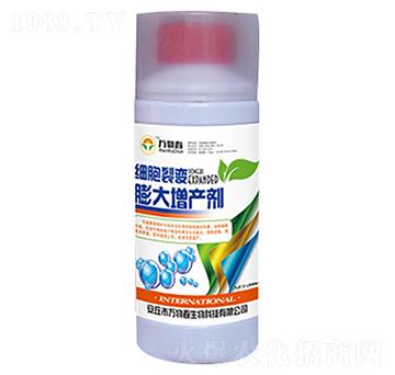 ������׃������a(ch��n)��-�f�ﴺ