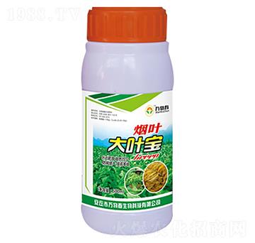 500ml���~���~��-�f�ﴺ