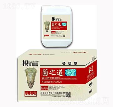 5L��֮��-���Ը��Z-�����r(n��ng)�I(y��)