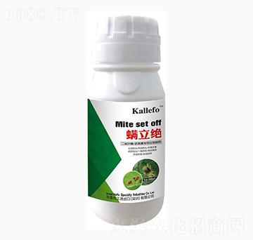 �����~�����S����������