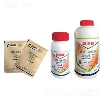 ��߻����ɭ�~-�漚�D-�|�L(f��ng)����