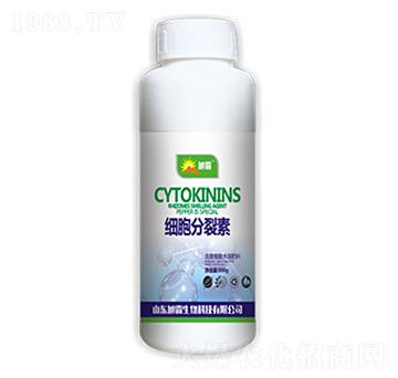 ��(x��)��������-�������