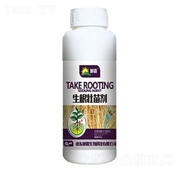 �������焩-�������