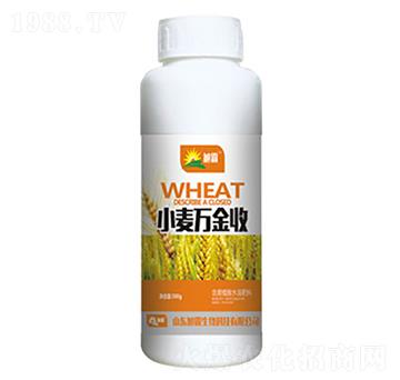 С���f����-�������