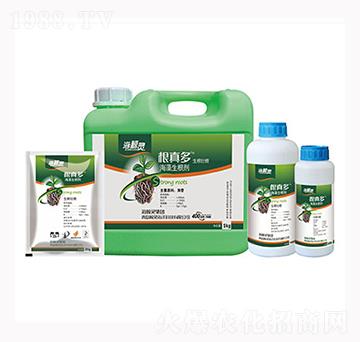 ����ຣ��������-�L�`