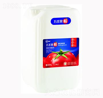 ���t����(zhu��n)��΢�������-�f(w��n)ʥ��ñ-�f(w��n)���r(n��ng)��