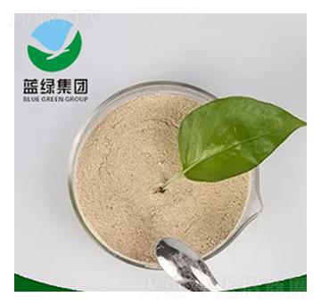 �������-��(��i)��˹����