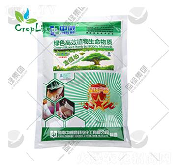 �S���-��(��i)��˹����