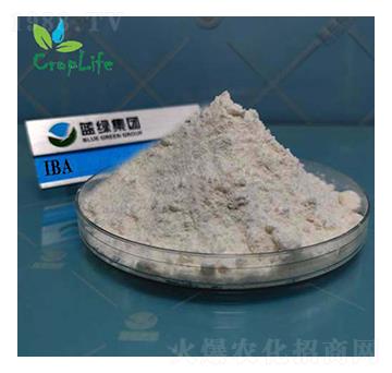 ���ᶡ��-����˹����