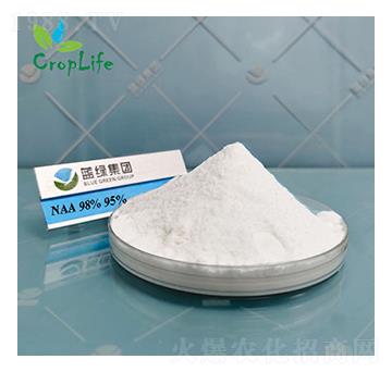 a�������c��NAA-NA��-����˹����