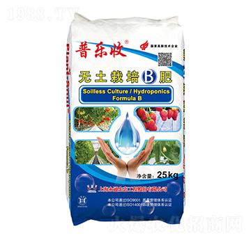 �o����������B��-�՘���-��ͨ���B(t��i)