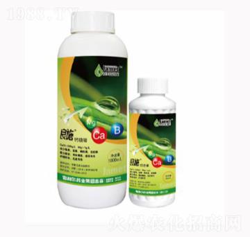 �}�V��-��ʩ-������