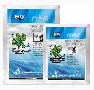 50%�Ѿ���-�W�n-������