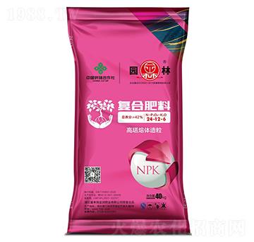 �ͺϷ���24-12-6