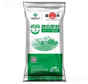 �ͺϷ���16-5-9-