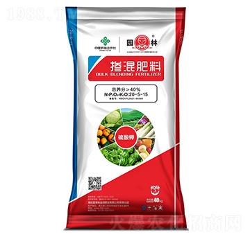 �������20-5-15-�@��-������