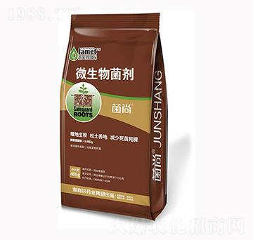 ����΢�������-�W��˹