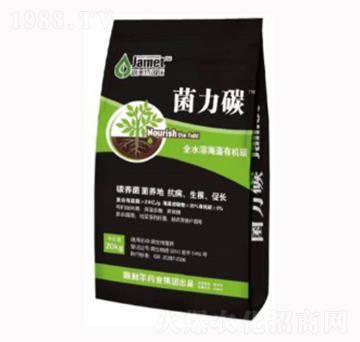 �����ЙC(j��)̼-����̼-�W��˹