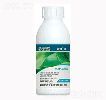 FG��+�����`-��Z���{-�W��˹