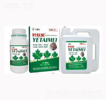 �~�������V�V�ͣ�-��˼��(l��)