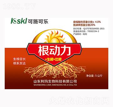 ����(d��ng)��-��ʩ�ɘ�-��������