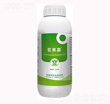 ������-���_