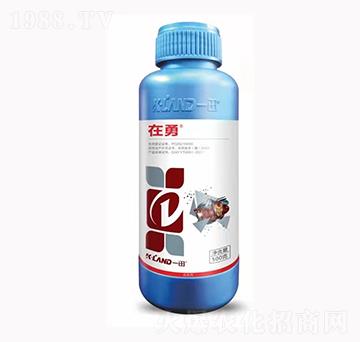 10%(li��n)�������x��-����-һ������