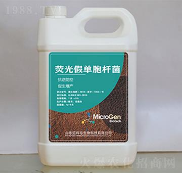 �ɹ�نΰ��U��-�~����