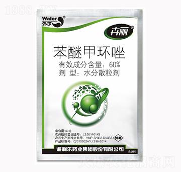 60%���Ѽ׭h(hu��n)��-����-������